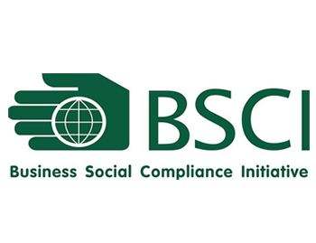 BSCI审核标准