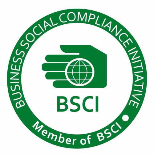 BSCI变更新平台有哪些变化？